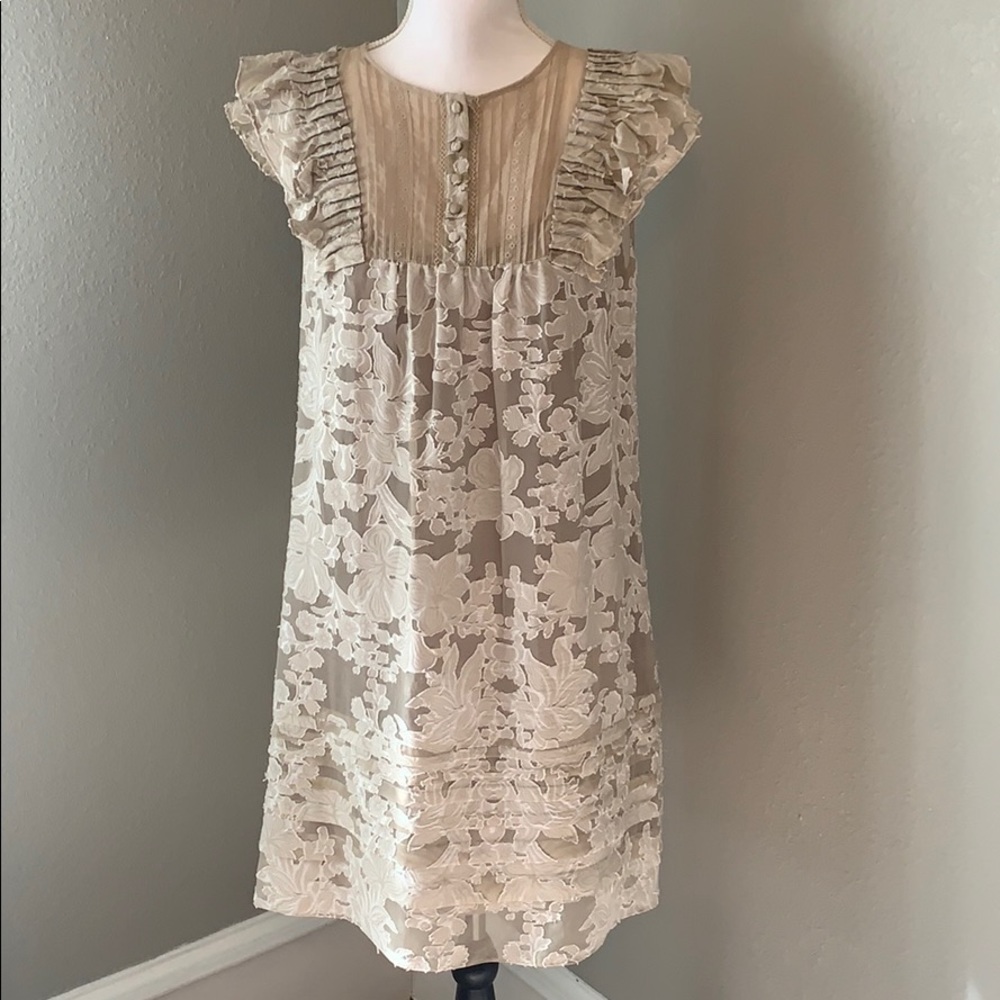 BCBG sheer dress with silk slip dress